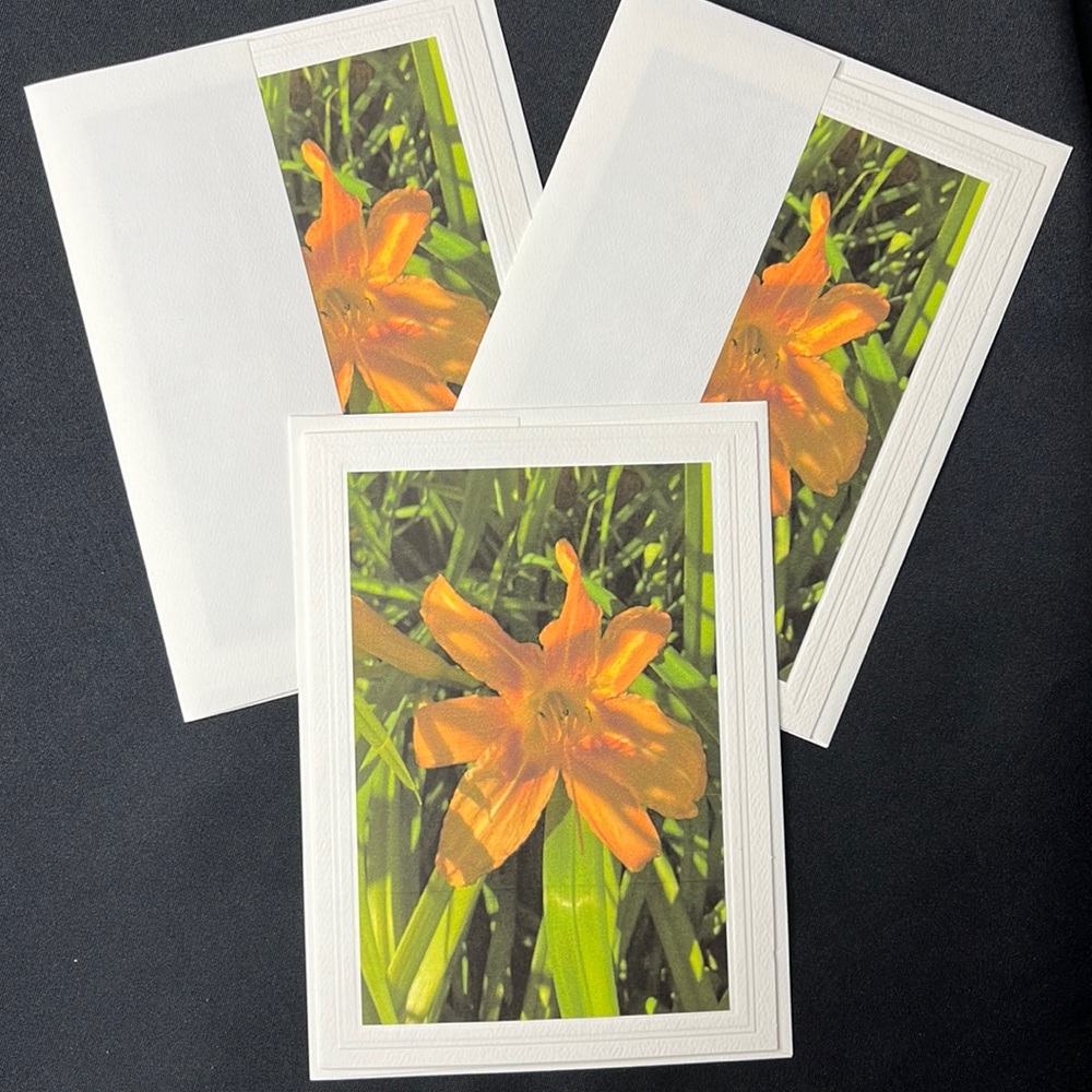 Set of 3 Hand crafted greeting cards with envelopes. Blank inside